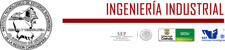 Ingenieria Industrial