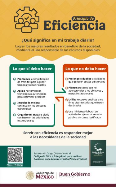 PRINCIPIO DE EFICIENCIA