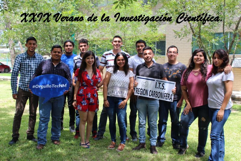 XXIX VERANO DE LA INVESTIGACIÃÃÃÃÃÃ¢ÃÃÃÃN CIENTÃÃÃÃÃÃÃÃFICA.