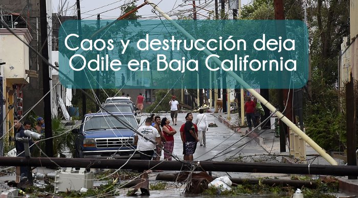 Imagen de noticia